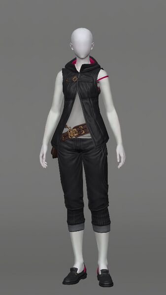 File:Adventurer's Hooded Attire Female.jpeg