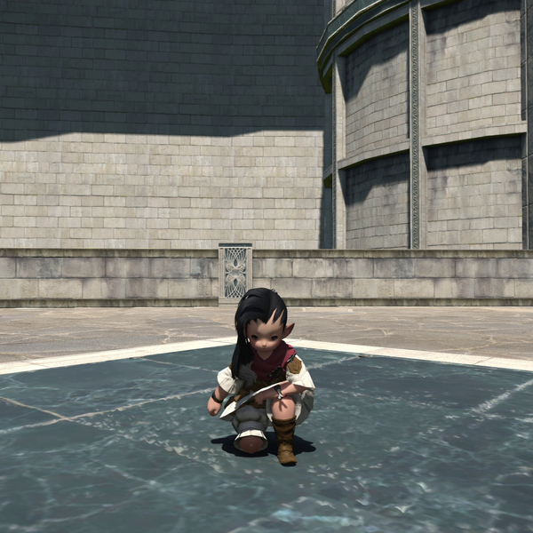 File:Kneel Emote.png