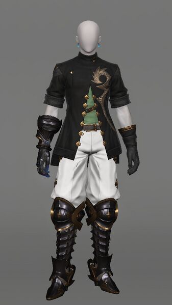 File:Realm-roamer's Attire Male.jpeg