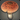 Moss Fungus Cap