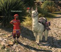 Alpacakeep (Wachunpelo).jpg