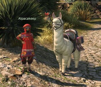 Alpacakeep (Wachunpelo)