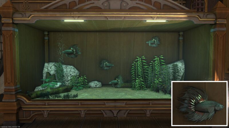 File:Aquarium Preview Dark Crown.jpg