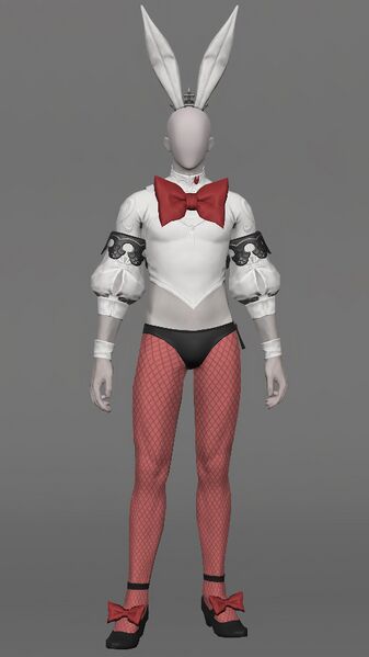 File:Bunny Attire Male.jpeg