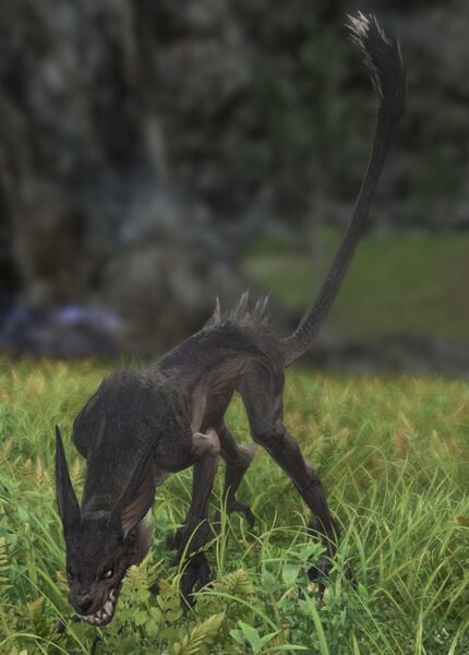 File:Hunting Coyote.jpg
