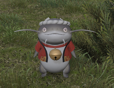 Namazu Tea Connoisseur