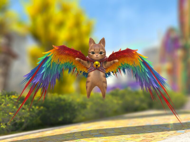 File:Acrocat.jpeg