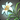 Noraxia's Corpse