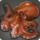 Giant Koromo Octopus icon.png