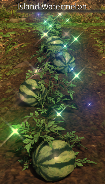 File:Island Watermelon Mature.png