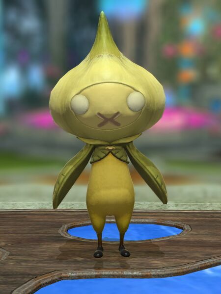 File:Dungeon Garlic.jpeg