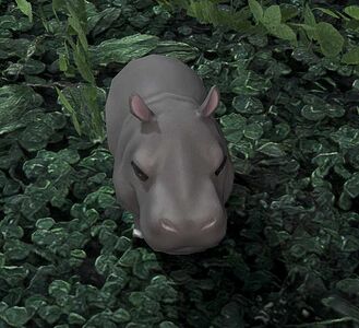 Energetic Hippo Calf
