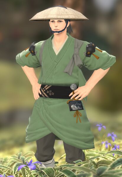 File:Shifty Fellow fullbody.jpg