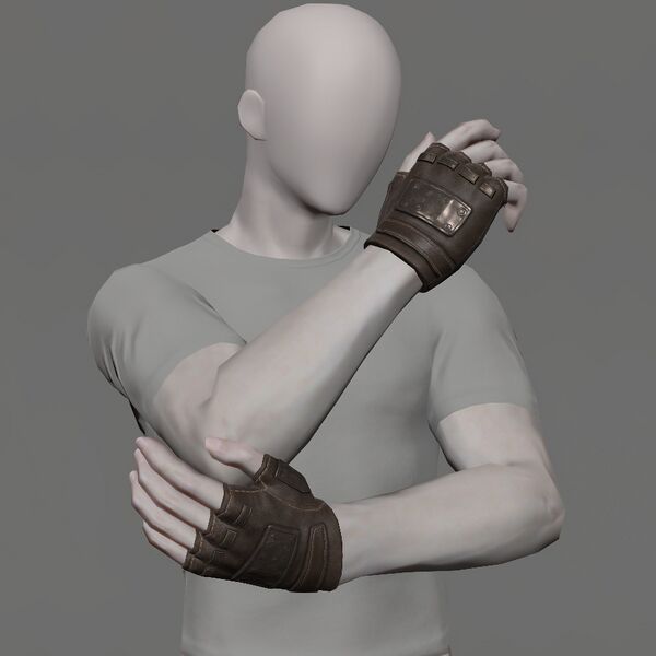 File:Avalanche Leader's Halfgloves Male.jpeg