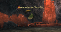 Orthos Toco Toco.png