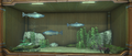 Thumbnail for version as of 15:43, 10 May 2026