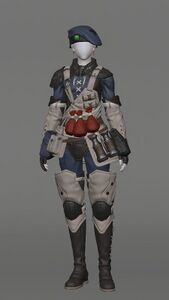 Royal Volunteer's Attire of Healing