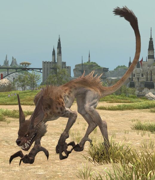 File:Territorial Jackal.jpg