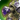 Automatoise mount icon1.png