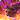Beastkin Mate