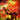 Fire Angon