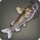 Shark catfish icon1.png