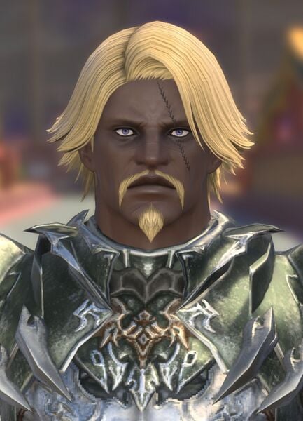 File:Radiant Guardsman.jpg