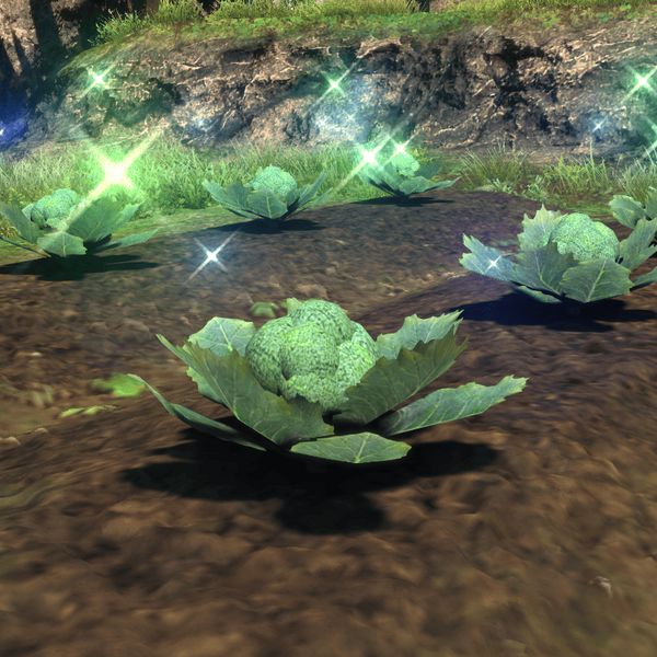 File:Island Broccoli Top.png