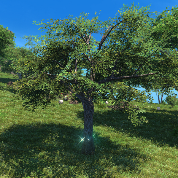 File:Mahogany Tree Icon.png