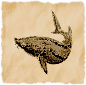 Emperor Fish