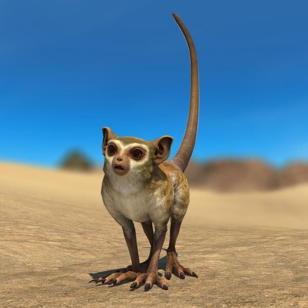 File:Opo-opo (Beast).jpeg