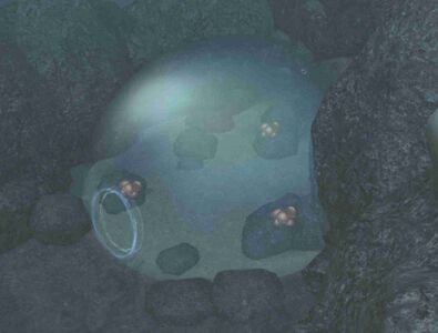 Entrance to the cave