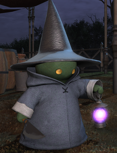 Setoto