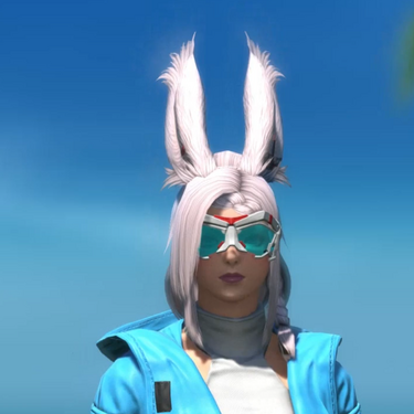 Visor OFF