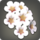 White cherry blossom corsage icon1.png