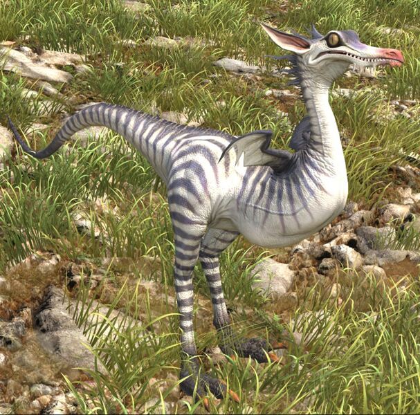 File:Grass Raptor.jpg