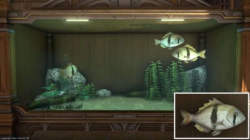 File:Aquarium Preview Geayi.jpg