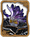 Belladonna Card