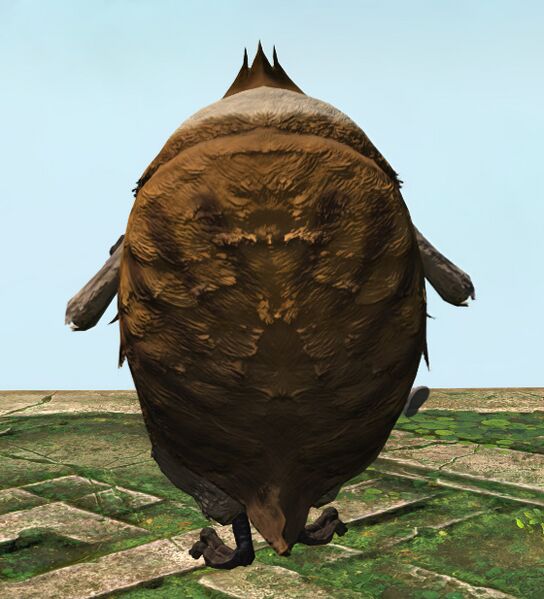 File:Papa Paissa rear.jpg