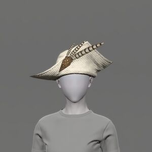 Woolen Cavalier's Hat