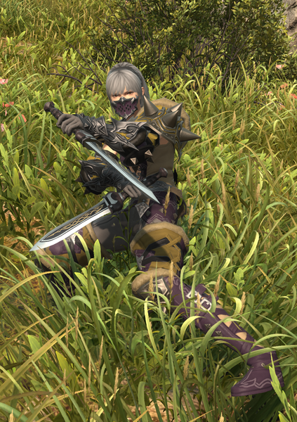 File:Hired Assassin 1.png