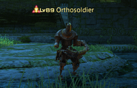 Orthosoldier.png