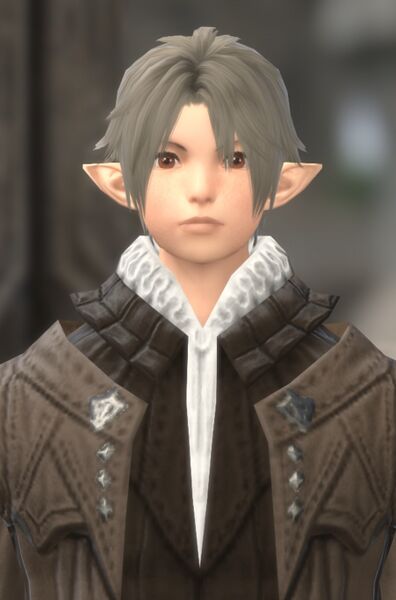 File:Title-stripped Noble's Son.jpg