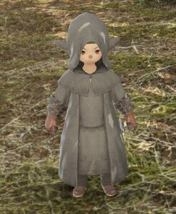 Bandit Mage