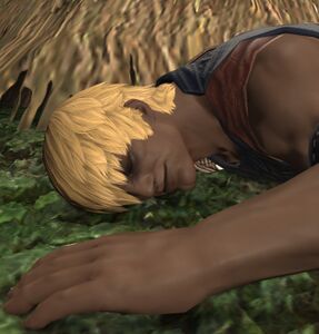 Exhausted Hyur