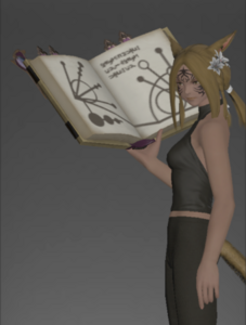 Wyvernskin Grimoire inside.png