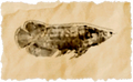 Thumbnail for version as of 15:51, 19 June 2026