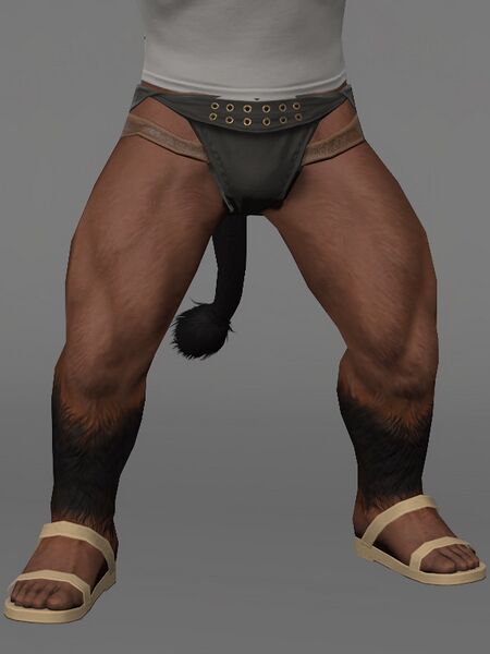 File:Hrothgar Subligar Male.jpeg