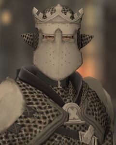 Inquisition Guard