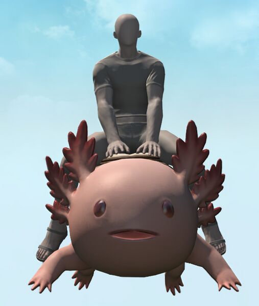 File:Megaloambystoma front.jpg